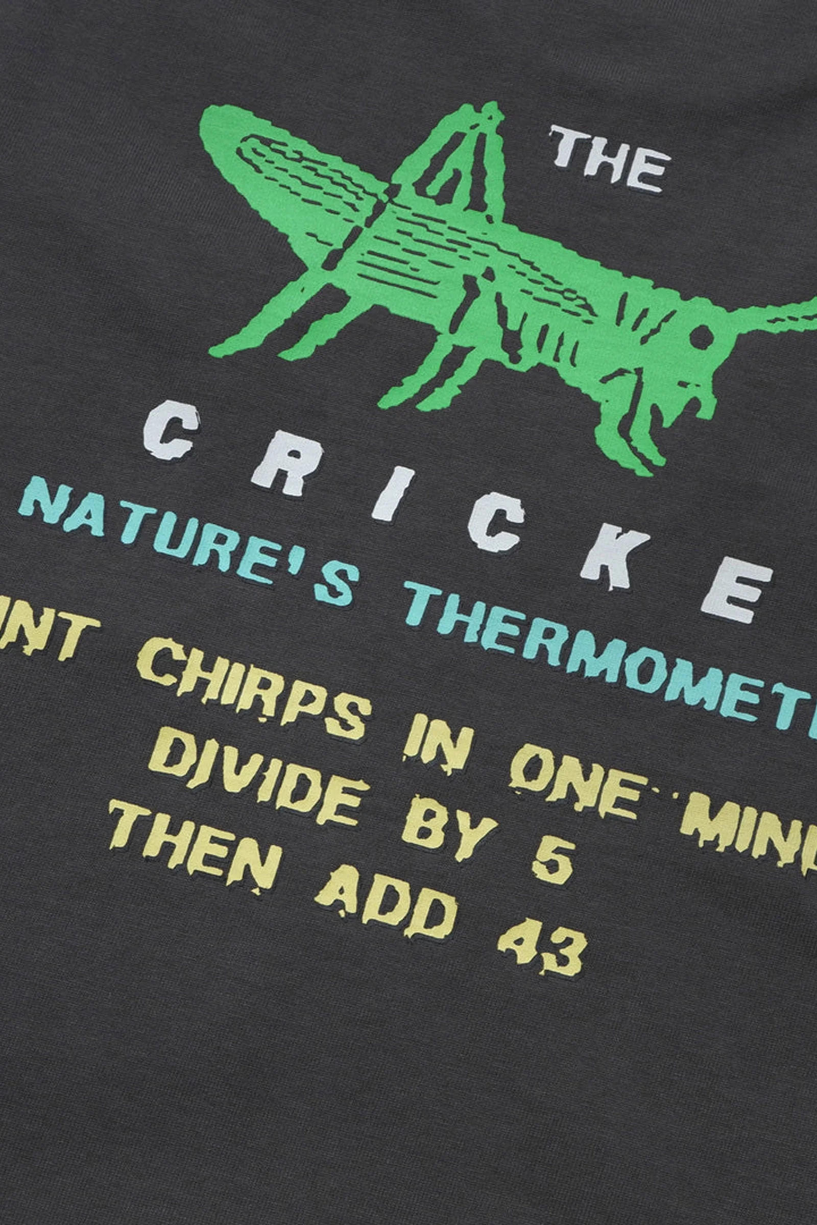 Cricket Heavy Pocket Tee - Image 3