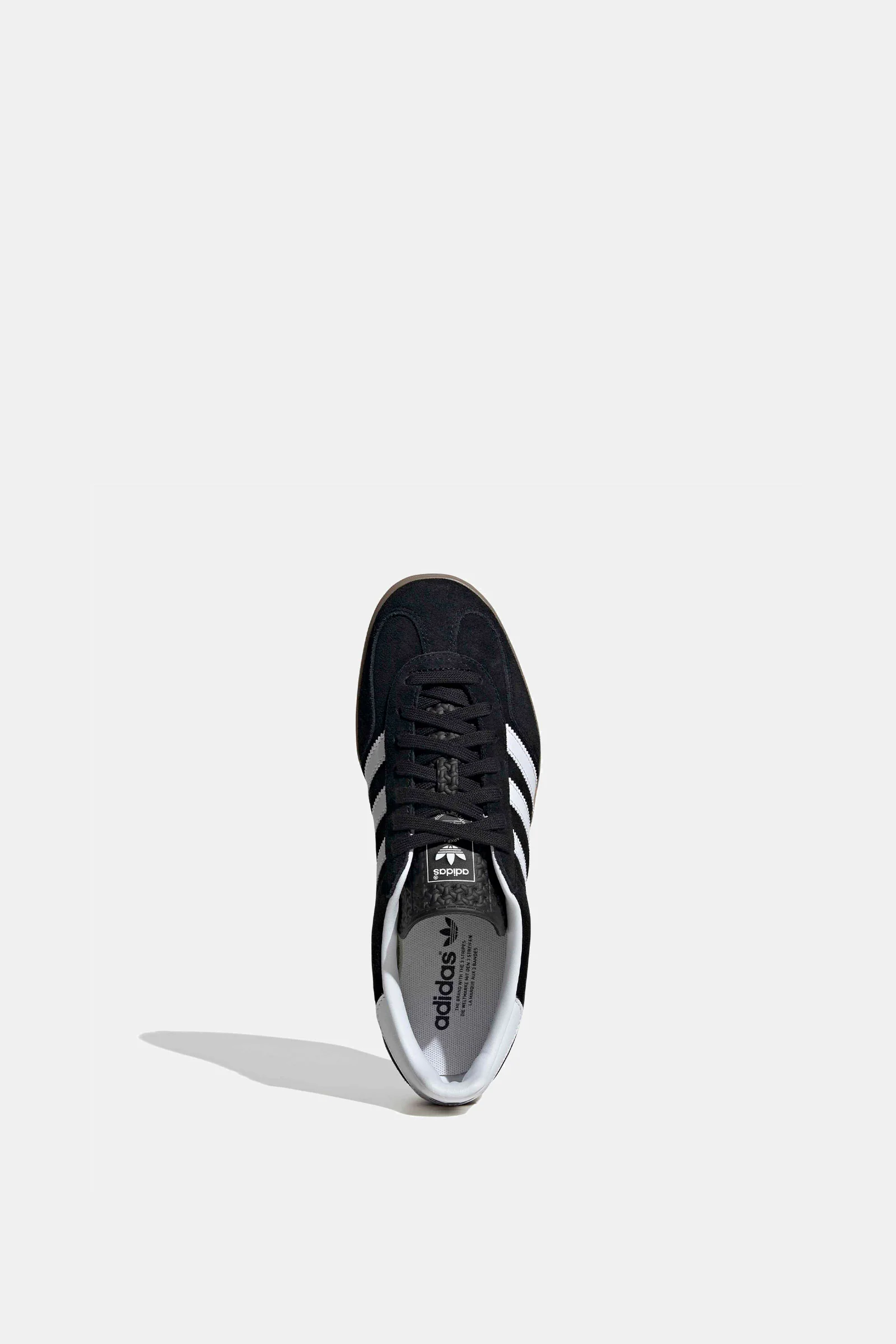 Gazelle Indoor - Image 4