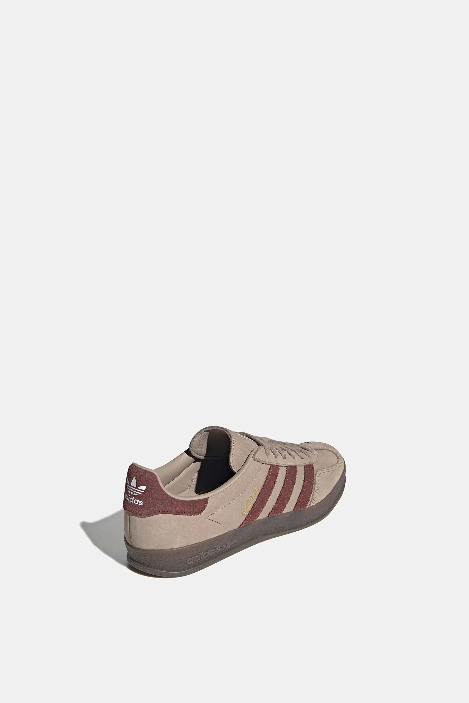 Gazelle Indoor - Image 3