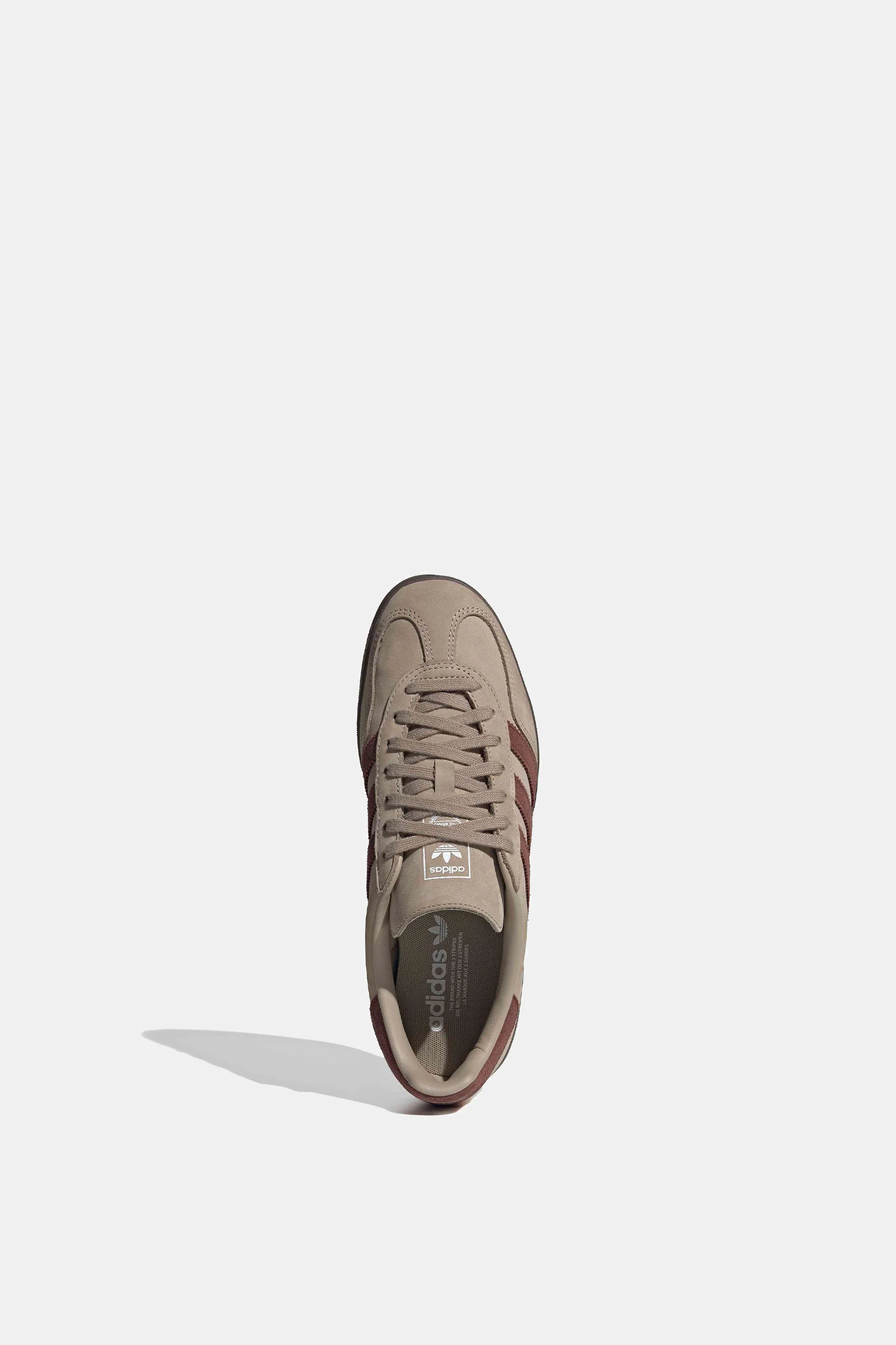 Gazelle Indoor - Image 4